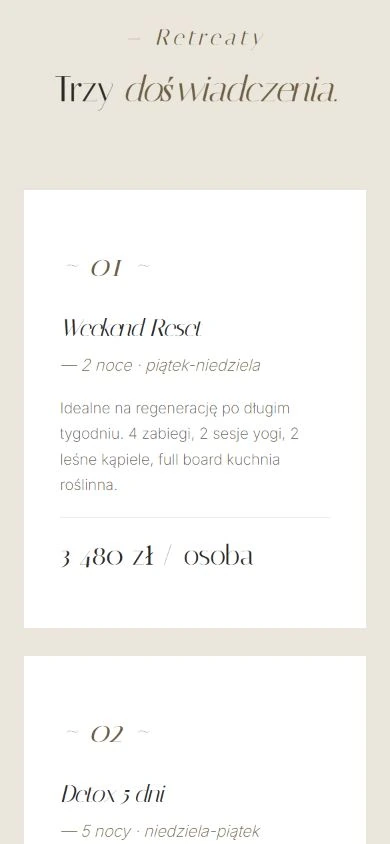 Basalt — project screen