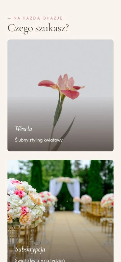 Bloom — project screen