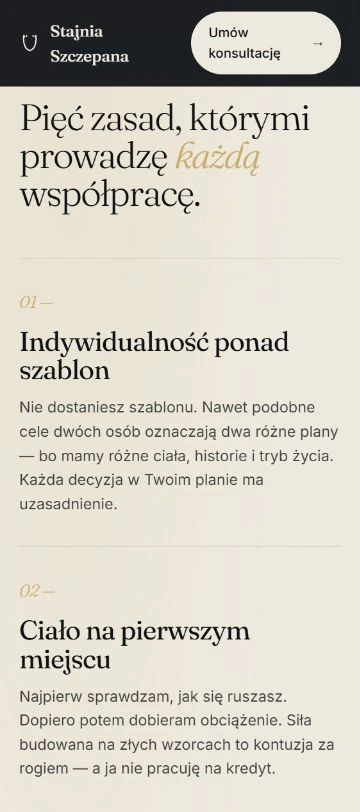 Stajnia Szczepana — ekran projektu